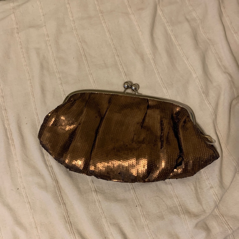 Sequin Clutch Purse